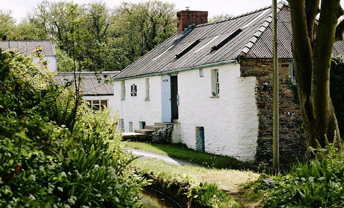 The Mill